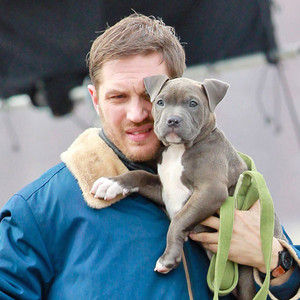 Tom Hardy, Dog Tom Hardy, Dog